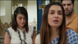 Pandya Store - 18th November 2022